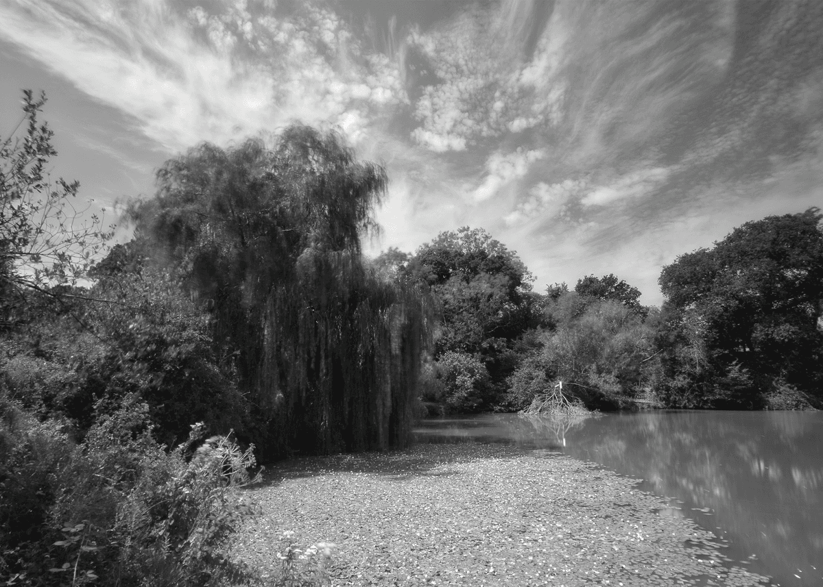 Landscape 6